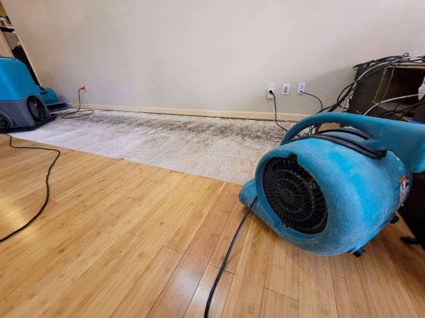 Professional Water Extraction technician working in Thomaston, ME